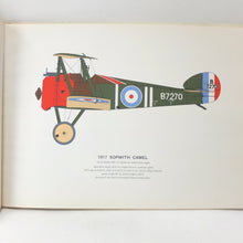 Early Aeroplanes 1907-18 | Roy Cross