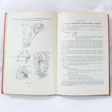 Fieldcraft, Sniping and Intelligence (1943)