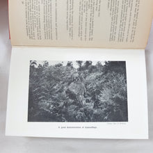 Fieldcraft, Sniping and Intelligence (1940)