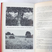 Fieldcraft, Sniping and Intelligence (1940)