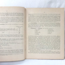 Handbook of the German Army in War (1917)