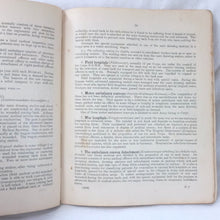 Handbook of the German Army in War (1917)