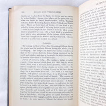 Handbook of Siberia and Arctic Russia (1918)
