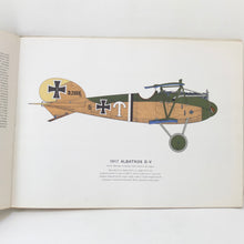 WW1 Early Aeroplanes | Albatross | Roy Cross